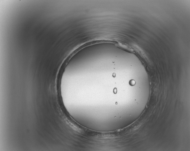 X0000071770884200607150025