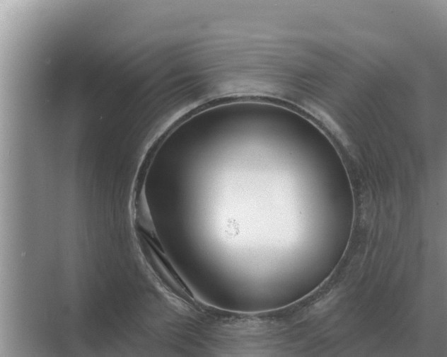 X0000071770885200607150025