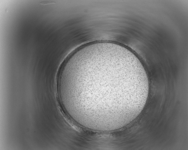 X0000071770886200607150025