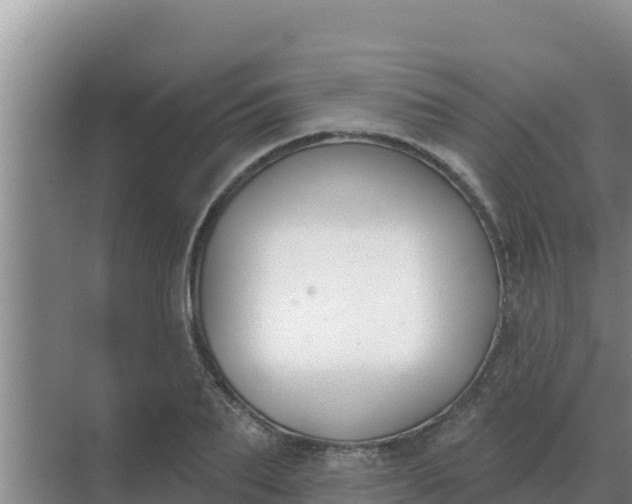 X0000071770887200607150025