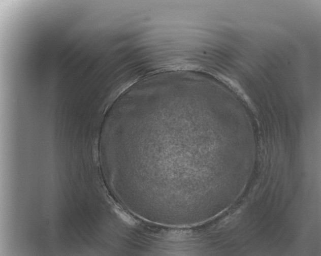 X0000071770889200607150025