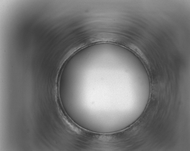 X0000071770890200607150025