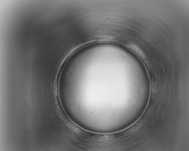 X0000071770891200607150025