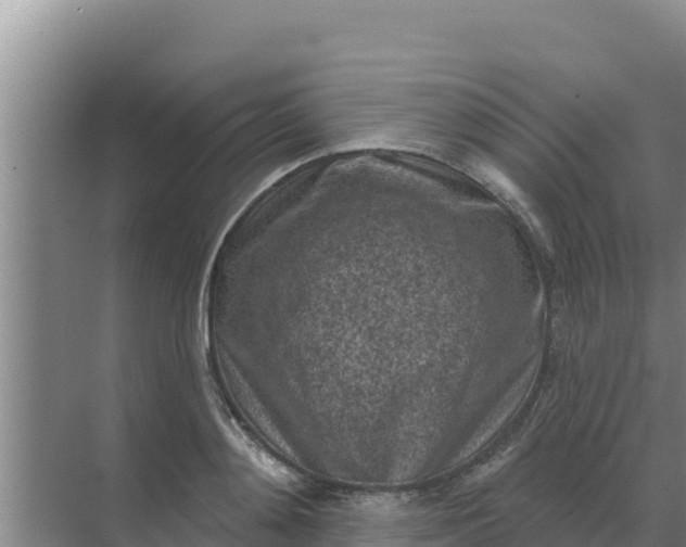 X0000071770892200607150025