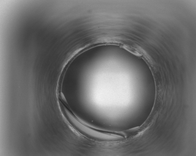 X0000071770893200607150025