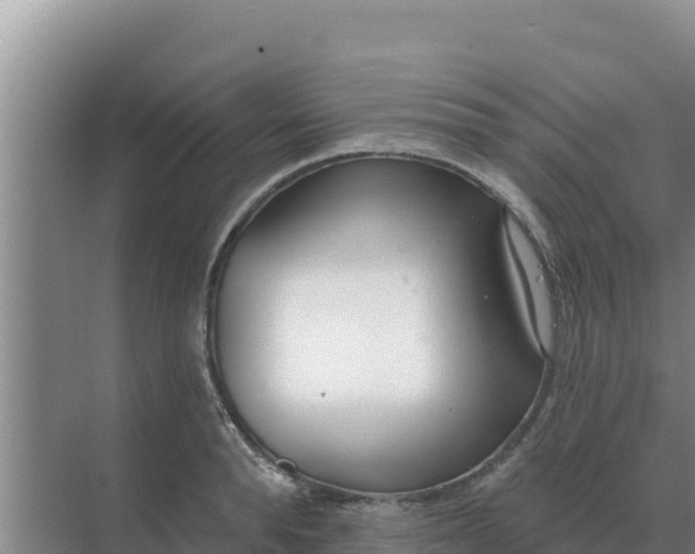 X0000071770896200607150025