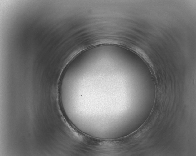 X0000071770898200607150025