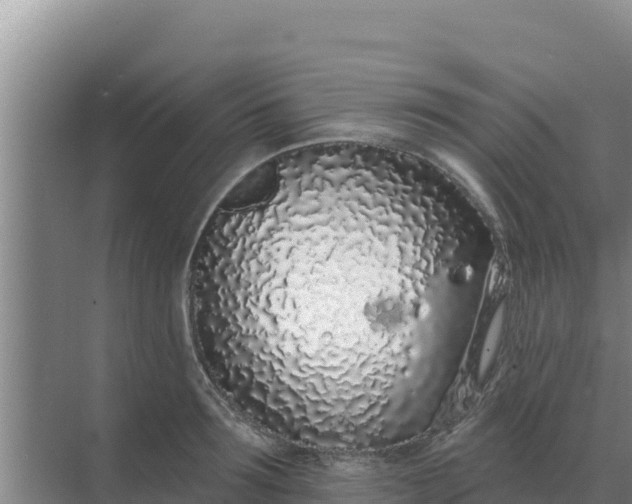 X0000071770899200607150025