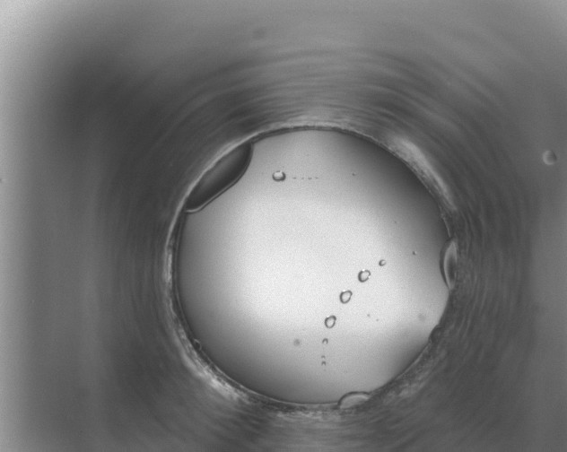 X0000071770900200607150025