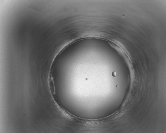 X0000071770901200607150025