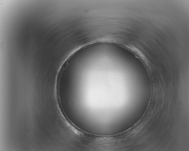 X0000071770902200607150025