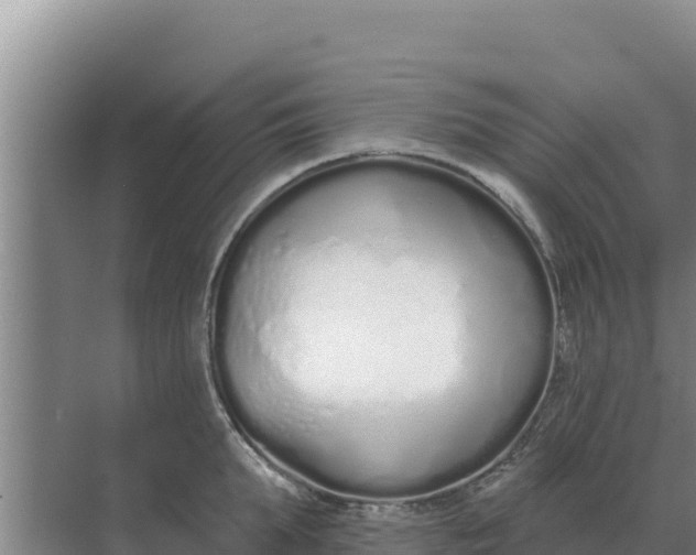 X0000071770903200607150025