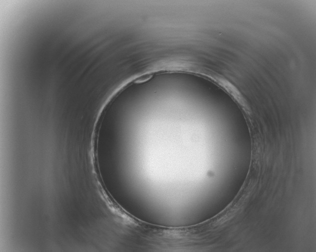 X0000071770904200607150025