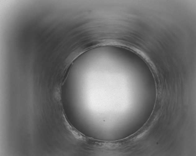 X0000071770905200607150025