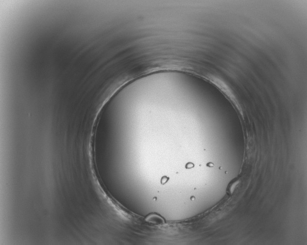 X0000071770906200607150025