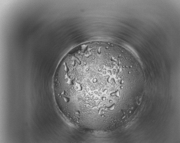 X0000071770907200607150025