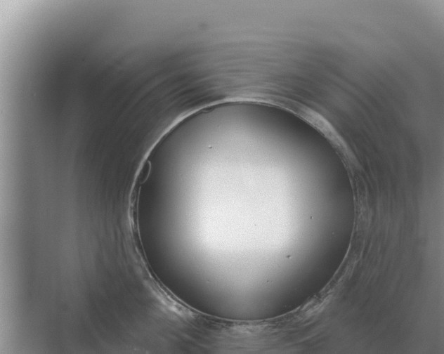 X0000071770908200607150025