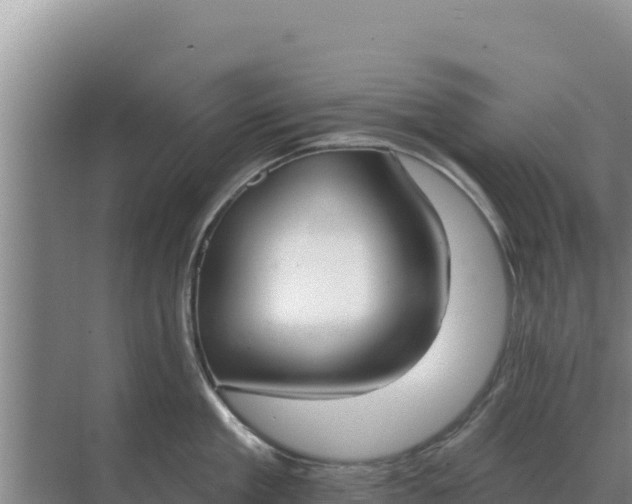 X0000071770909200607150025