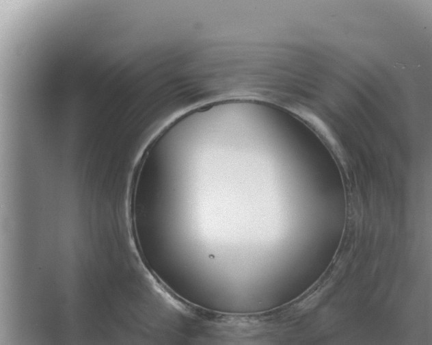 X0000071770910200607150025