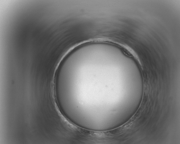 X0000071770911200607150025