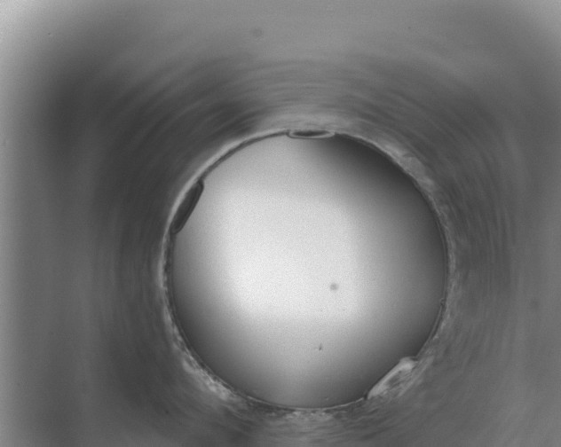 X0000071770912200607150025