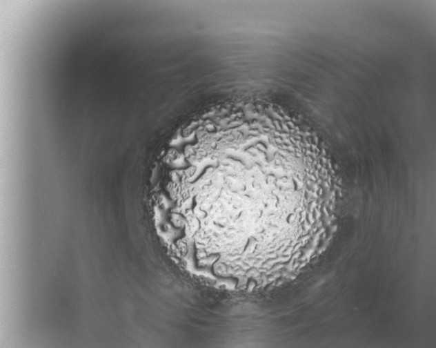 X0000071770913200607150024