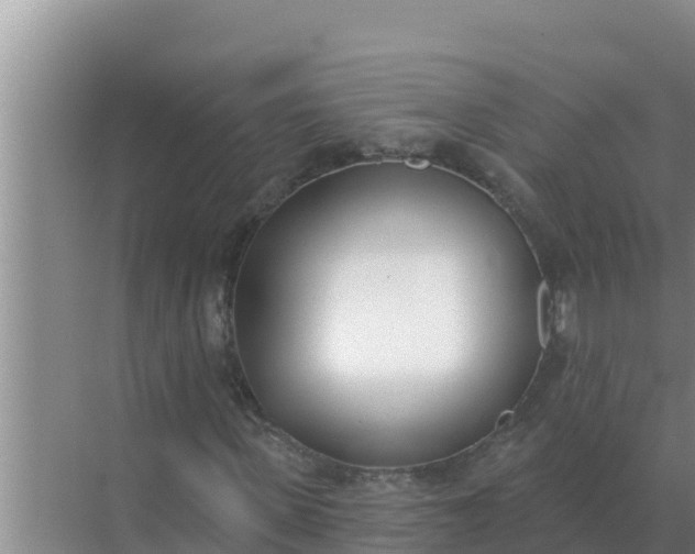 X0000071770915200607150024