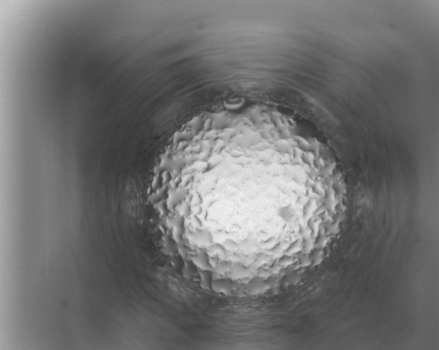 X0000071770917200607150024