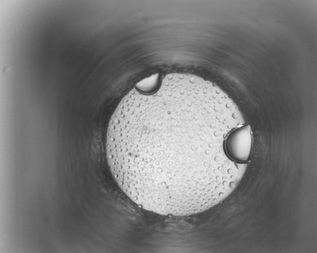 X0000071770918200607150024