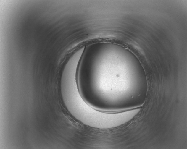 X0000071770920200607150024