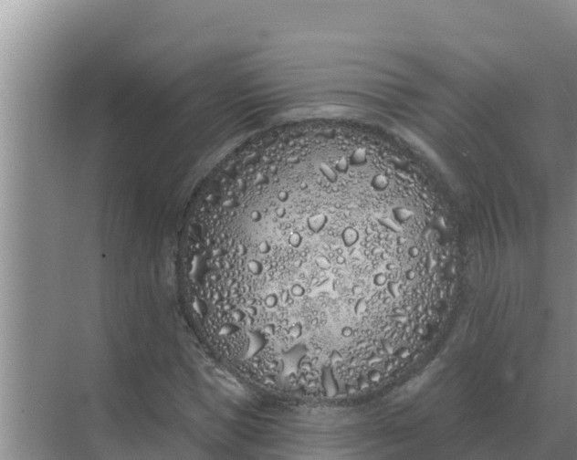 X0000071770921200607150024