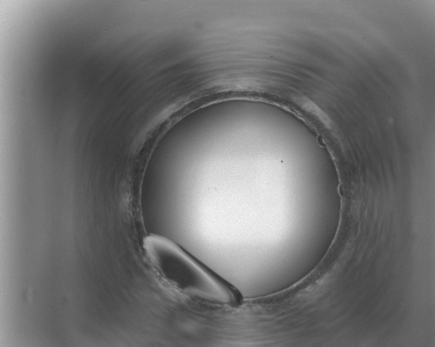 X0000071770922200607150024