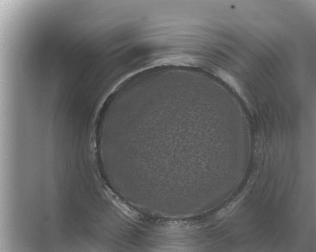 X0000071770923200607150024