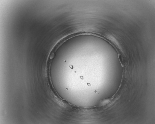 X0000071770924200607150024