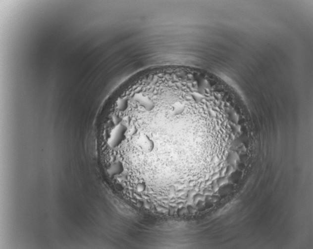 X0000071770925200607150024