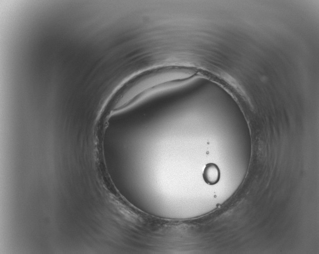 X0000071770926200607150024