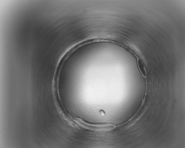 X0000071770928200607150024