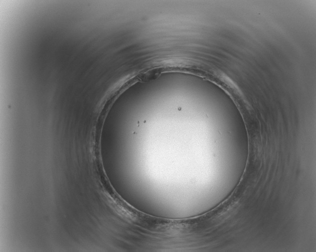 X0000071770930200607150024