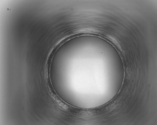 X0000071770931200607150024