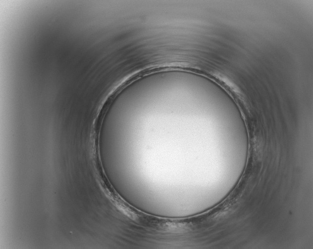 X0000071770933200607150024