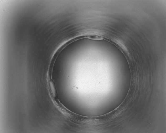 X0000071770936200607150024