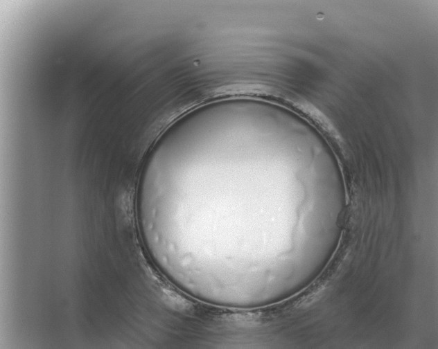 X0000071770937200607150024