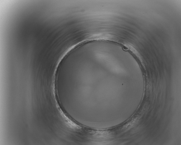 X0000071770941200607150025