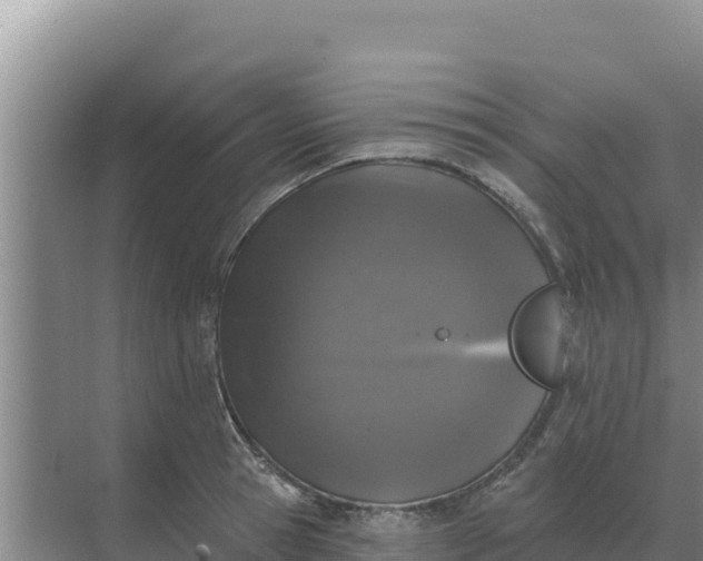 X0000071770945200607150025