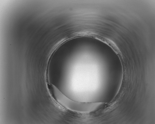 X0000071770946200607150025