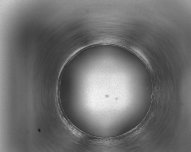 X0000071770948200607150025