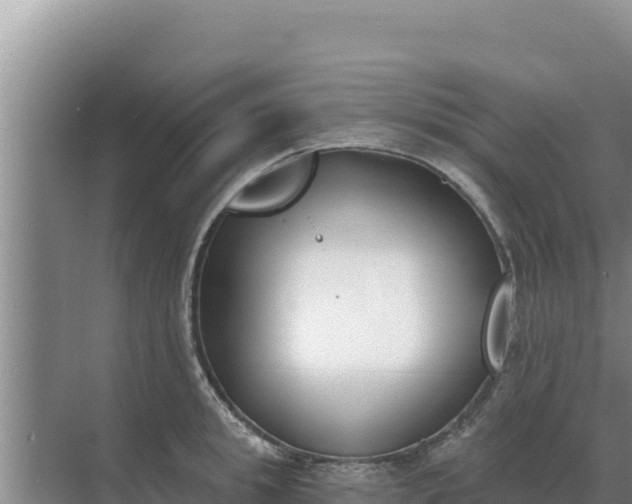 X0000071770949200607150025