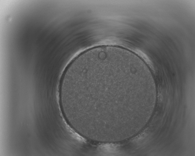 X0000071770950200607150025