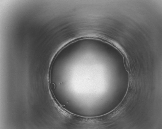 X0000071770951200607150025