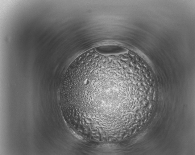 X0000071770953200607150025